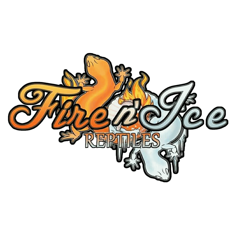 Fire n Ice Reptiles