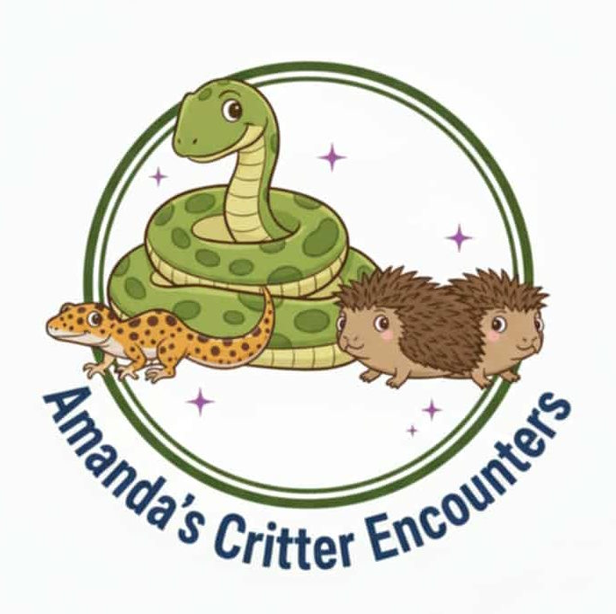 Amanda's Critter Encounters