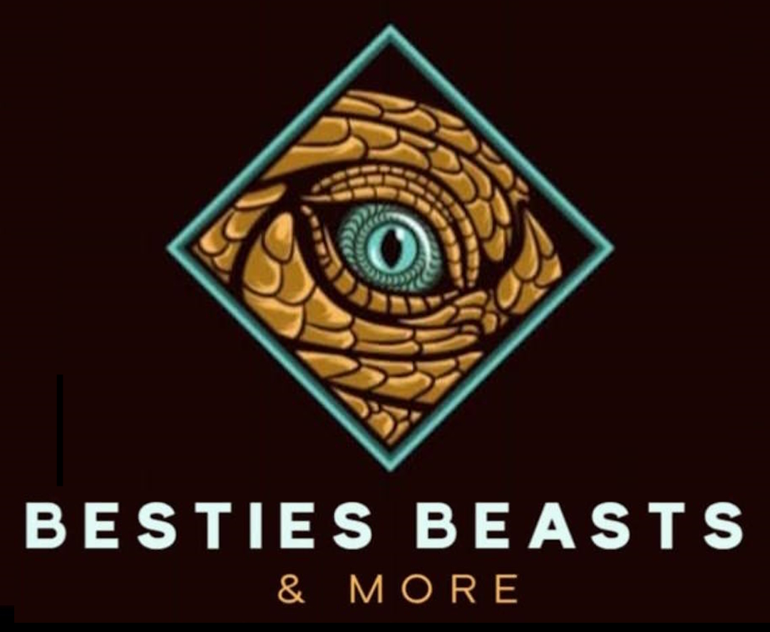 Besties Beasts & More