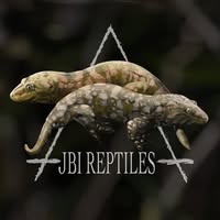 JBI Reptiles