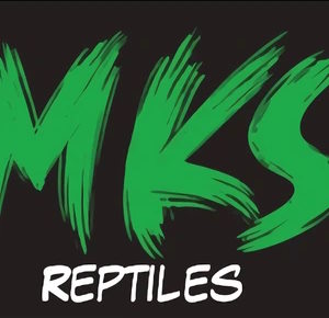 MKS Reptiles