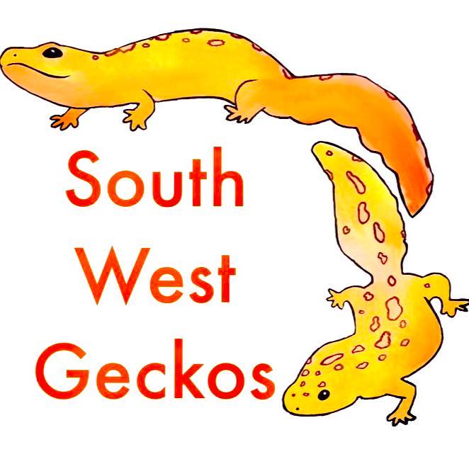 Southwest Geckos